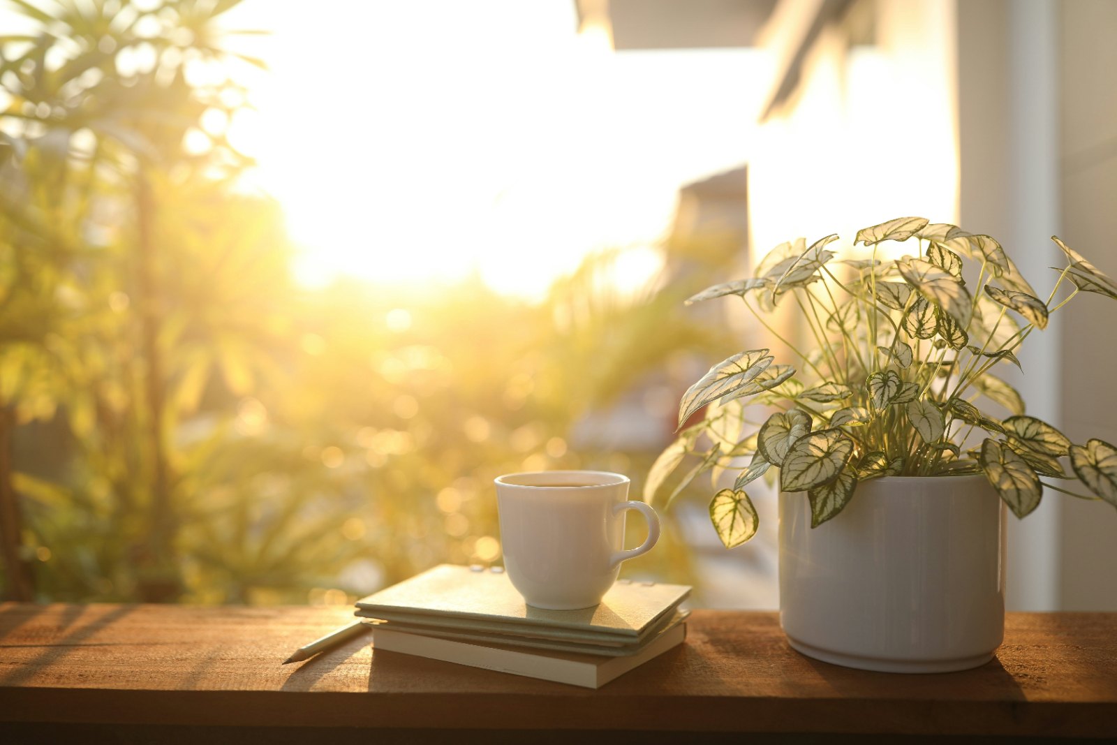 An open notebook, pen and coffee cup on a sunlit windowsill